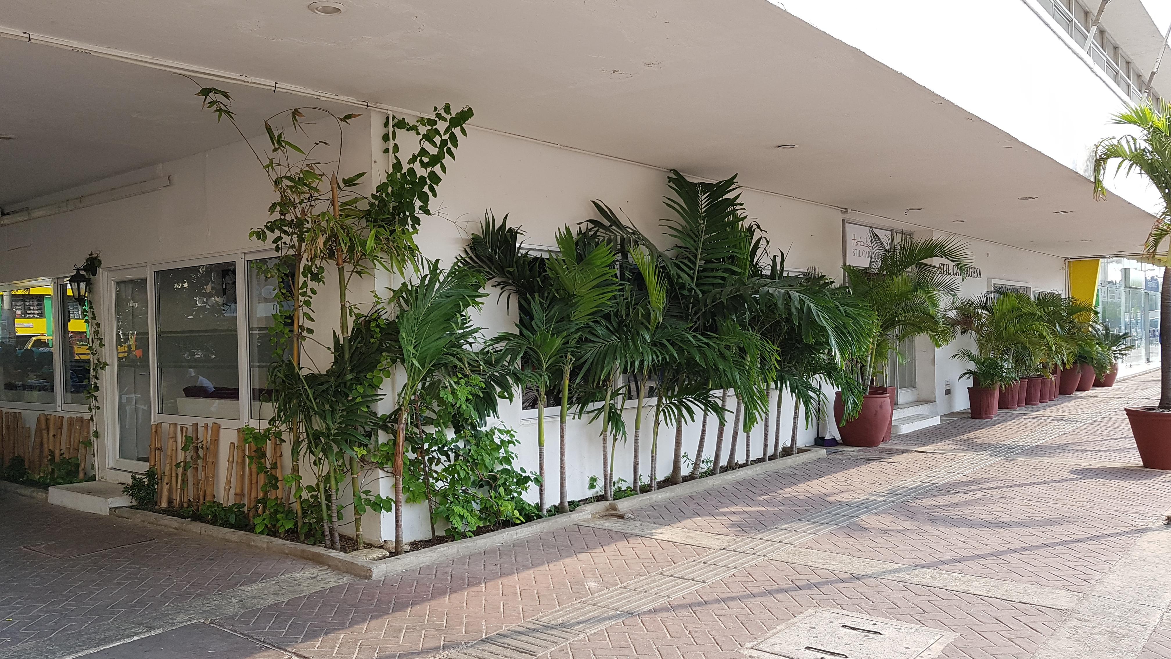 Hotel Stil Cartagena Eksteriør billede
